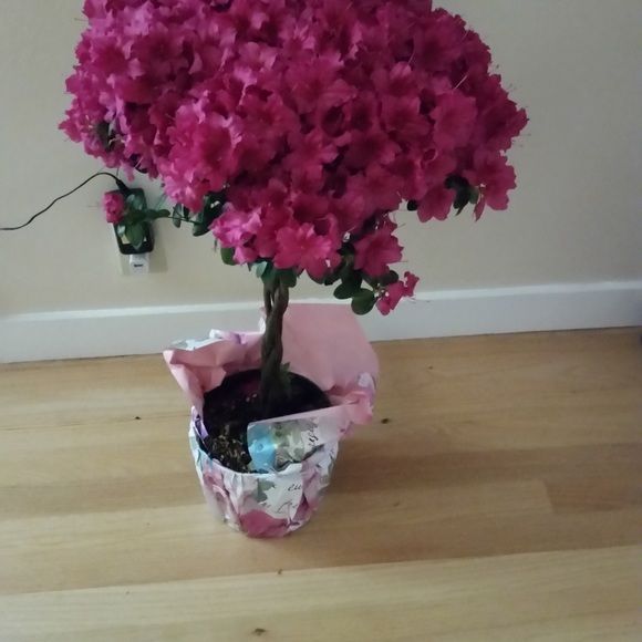 Meet your Posher, Noemi - Picture 1 of 1